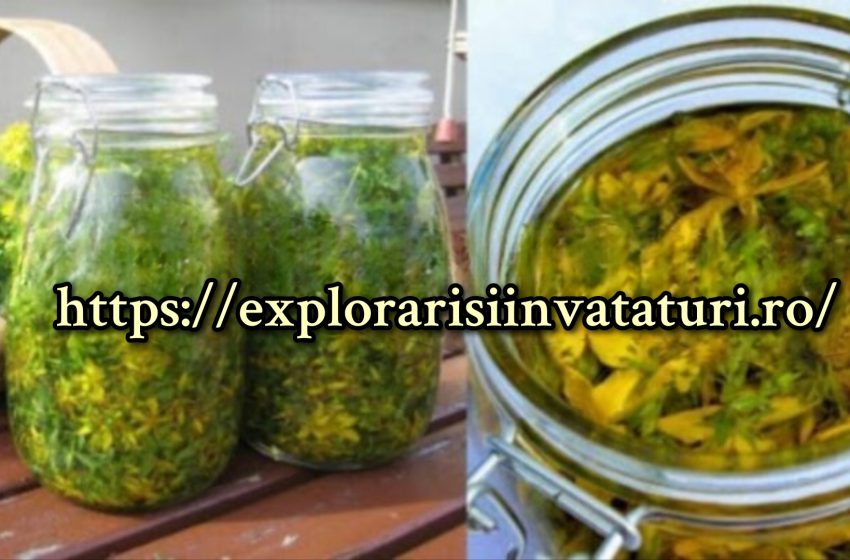  Sunătoarea este o plantă magică, ajută la tratarea multor boli.