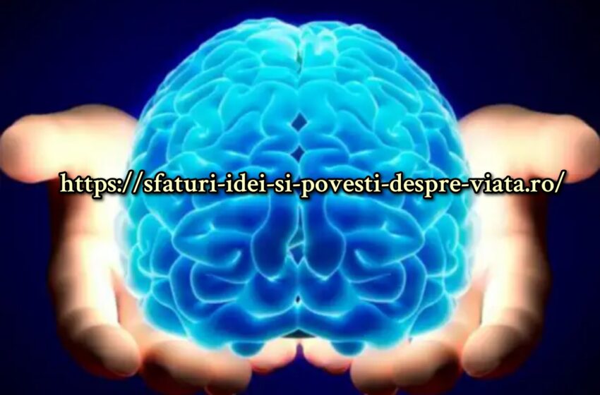 Cum funcționează mintea noastră: 10 caracteristici importante despre care nu știai