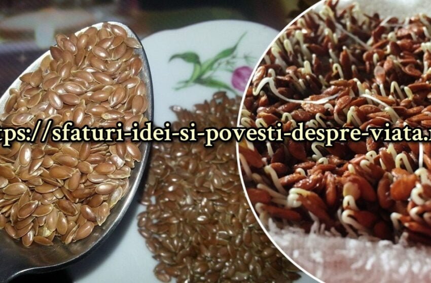  Semințele de in încolțite ajută în lupta nu numai cu bolile sistemului digestiv, ci și cu sistemul cardiovascular . Cum să le germinezi acasă.