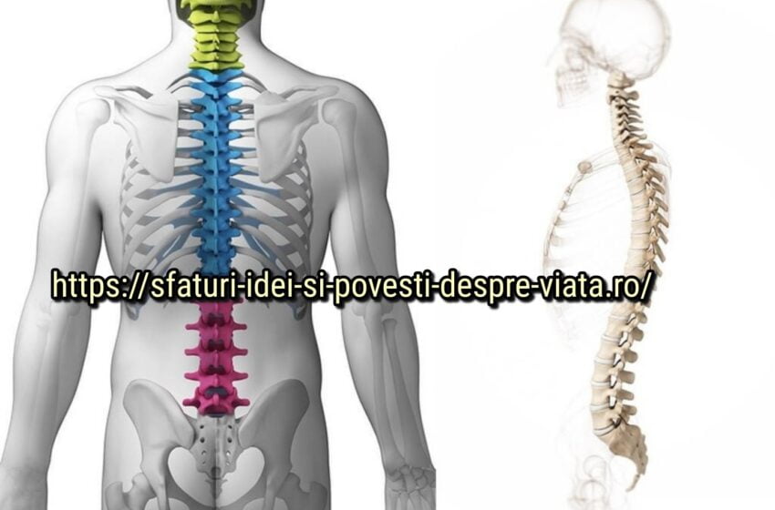  Sănătatea coloanei vertebrale: exerciții pentru prevenire și tratament