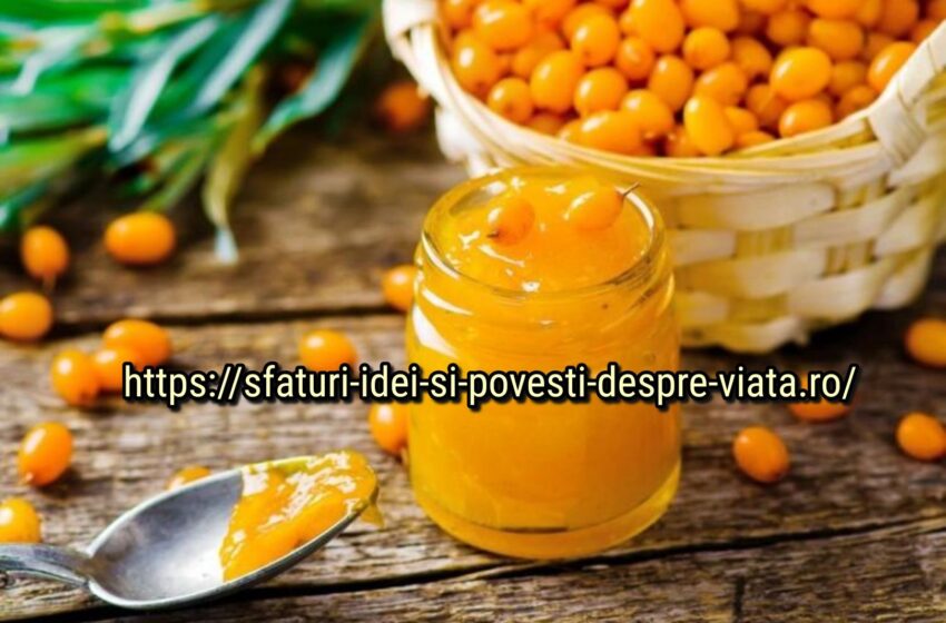  Ce se poate găti din cătină pentru iarnă: 15 cele mai bune rețete