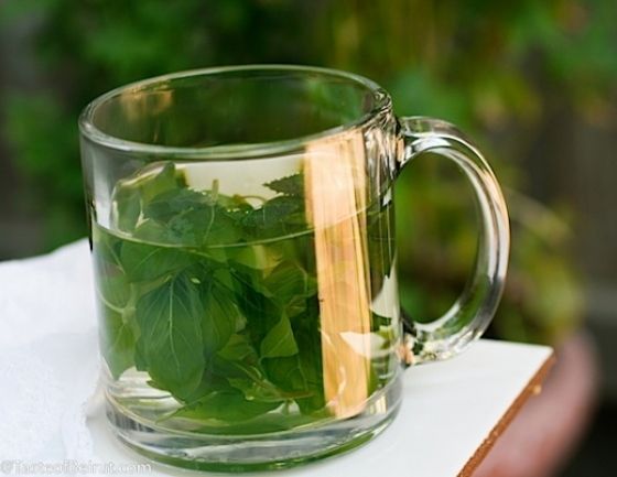  Povestea apei de busuioc si a tineretii fara batranete și ce alte beneficii va oferă.
