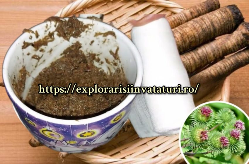  Pasta din radacina de  brusture – efect rapid impotriva durerilor si inflamatiilor