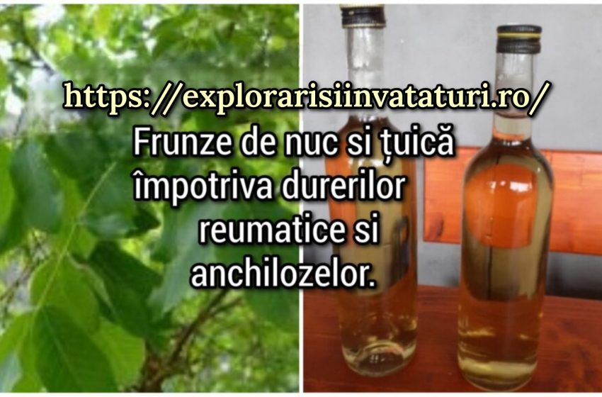 Frunze de nuc si țuică împotriva durerilor reumatice si anchilozelor.