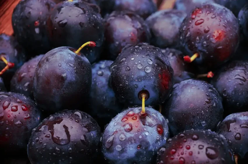  Nutriționist: prunele ajută la întărirea oaselor,prevenirea cancerului,normalizarea colesterolului si prevenirea bolilor cardiovasculare