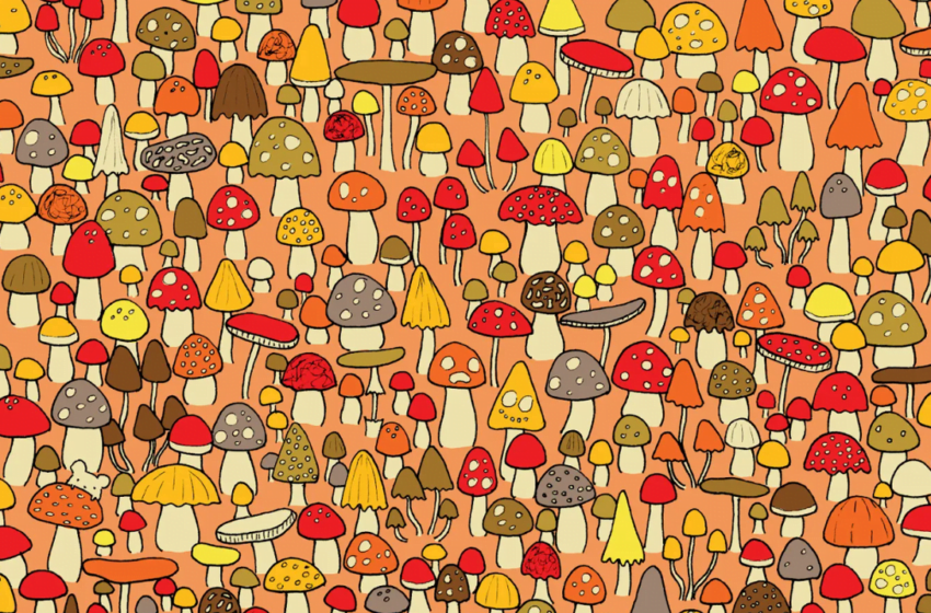  Creierul tău îmbătrânește? Să aflăm cu un test.