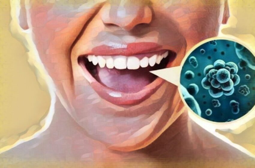  Sănătatea tuturor organelor depinde de aceasta: cum să crești un microbiom oral sănătos