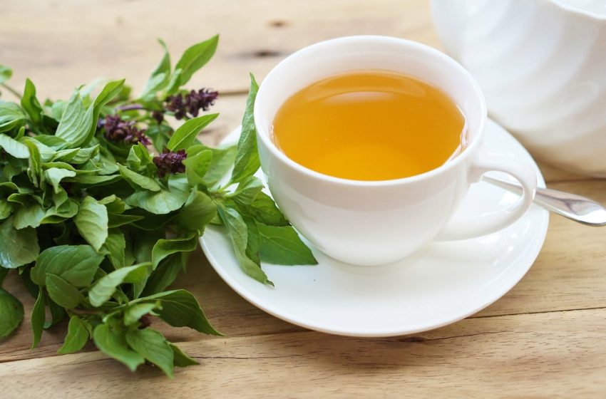  Busuiocul – un antibiotic natural: planta care ucide bacteriile, întărește sistemul imunitar și ameliorează stresul.