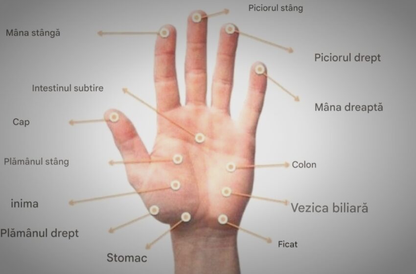  Degetele noastre sunt antene cosmice care controlează întregul corp:organe si emotii.