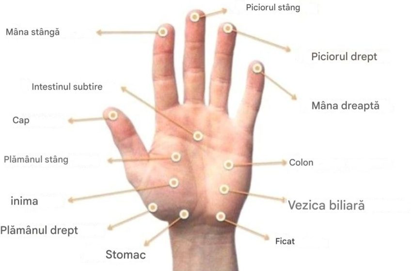  Degetele noastre sunt antene cosmice care controlează întregul corp:organe si emotii.