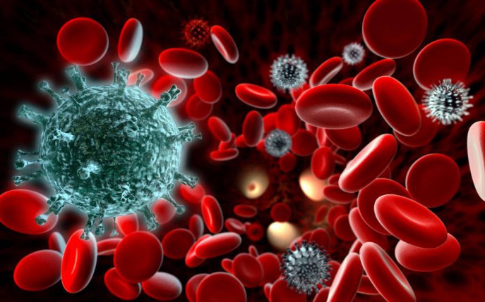  Limfocitele ajută sistemul imunitar al organismului să combată cancerul și virusurile și bacteriile străine (antigene).