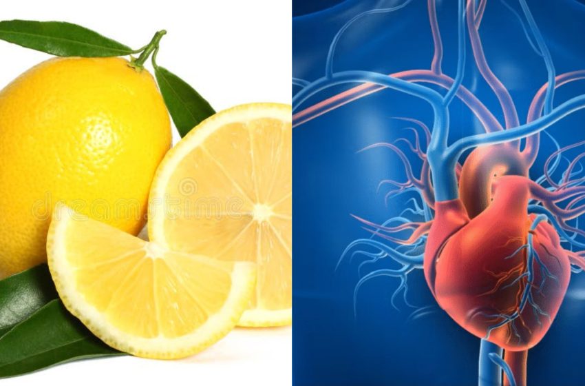  Tratamentul și prevenirea bolilor cardiovasculare cu lămâi.Retete utile.