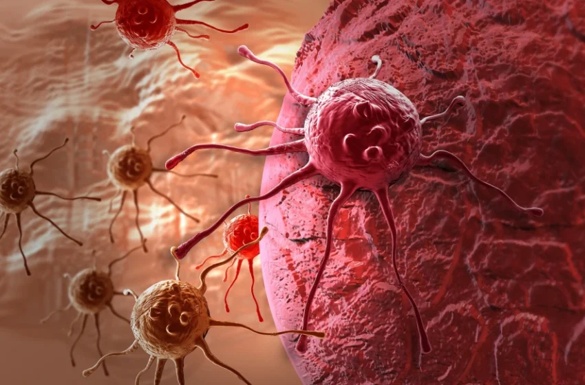  Oamenii de știință tocmai au descoperit sursa ascunsă de energie a celulelor canceroase.