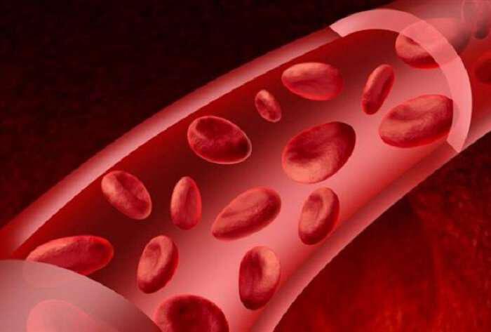  Sănătatea este în sângele nostru, „fluidul vieții”.