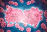  Unele tipuri de cancer recidivează la ani, uneori decenii, după ce un pacient a fost tratat.