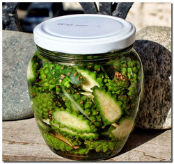  Prevenirea, tratamentul și recuperarea după accidentul vascular cerebral.