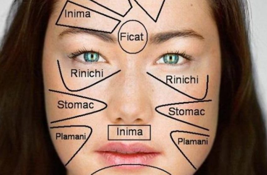  Harta facială..Fiecare zonă corespunde unuia sau mai multor organe vitale din corp conform medicinei chineze.