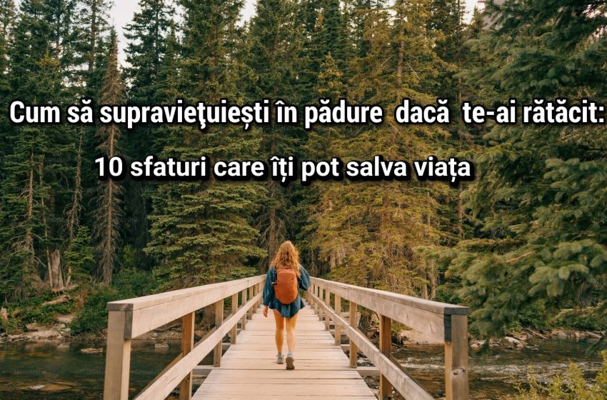  Cum să supraviețuiești în pădure dacă te-ai rătăcit: 10 sfaturi care îți pot salva viața