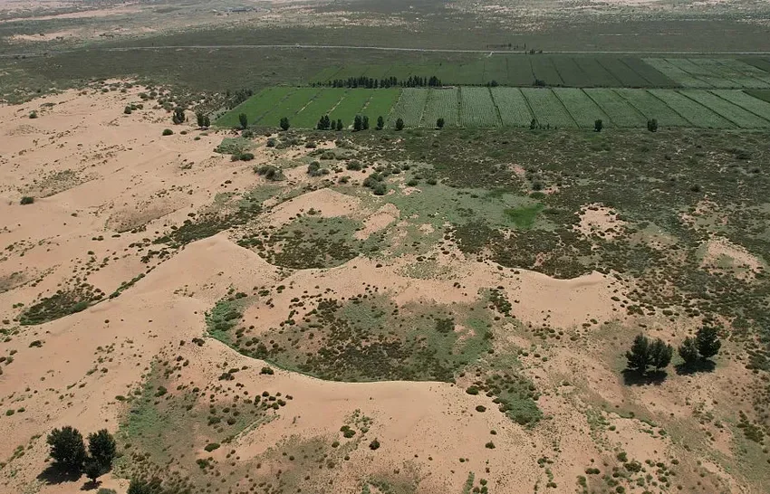  Marele Zid Verde al Chinei: Pădurea artificială gigantică concepută pentru a se proteja de deșertificare.