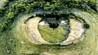  Privește imaginea.Ce ai văzut prima dată? Ține minte și citește ce dezvăluie despre tine răspunsul.