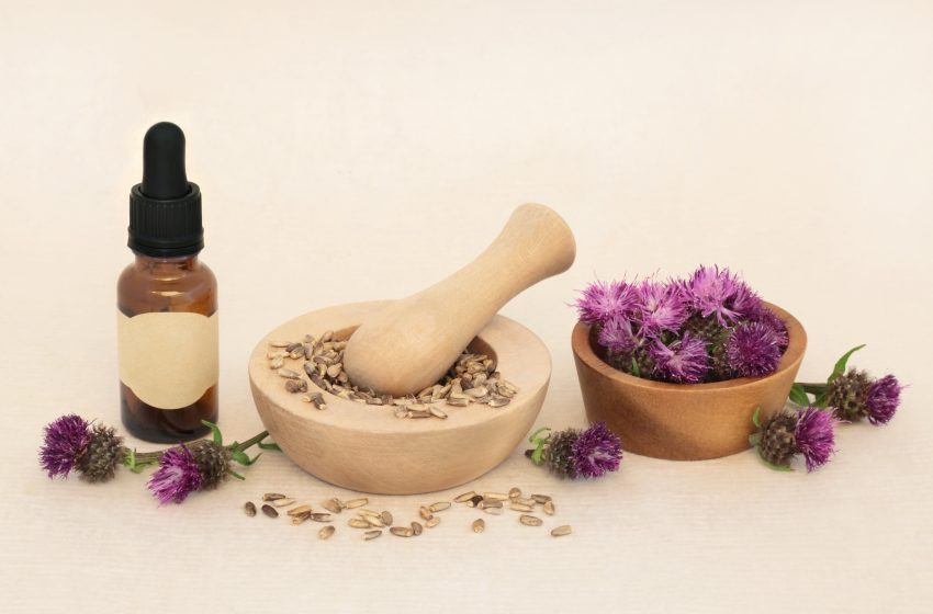  Studiile facute confirma: Efectul silimarinei plus vitamina E la pacienții cu steatoză hepatică ,hepatita• cancer hepatic,diabet.și o dietă hipocalorică aduce îmbunătățiri considerabile.