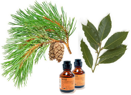  Rețetele bunicii cu iod,ace de pin si foi de dafin. Sfaturi de la o cititoare de pe rețelele de socializare