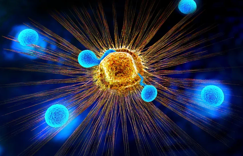  O dietă bogată în fibre ar putea „reîntineri” celulele imune care luptă împotriva cancerului, arată un studiu