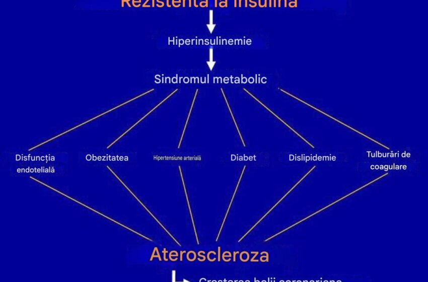  Rezistența la insulină: 11 plante medicinale și alimente care o inversează.