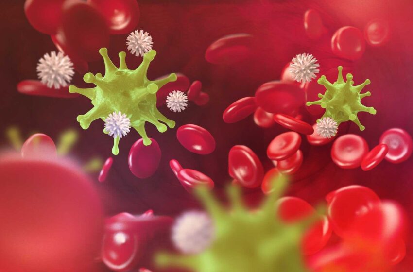  Drumul spre boală: un sistem imunitar disfuncțional este un mediu propice pentru infecții.Ce trebuie sa faceți pentru o imunitate buna.