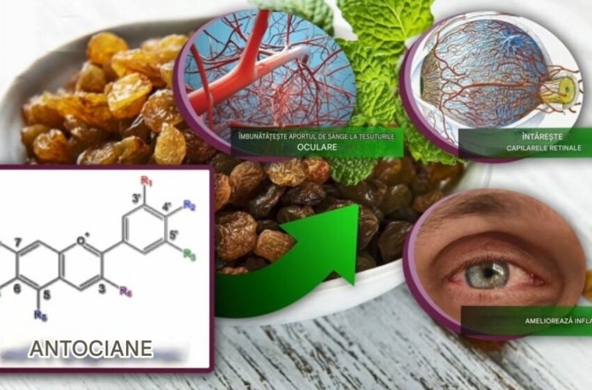  O mână de stafide în fiecare zi – o inimă sănătoasă și un corp tânăr.