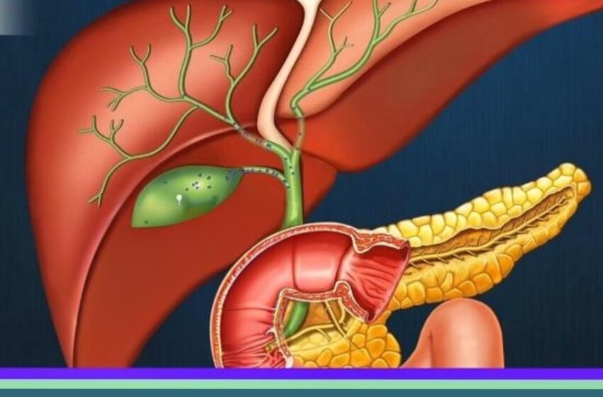  17 boli cauzate de funcția incorectă a bilei. Cum să îmbunătățești funcția vezicii biliare?