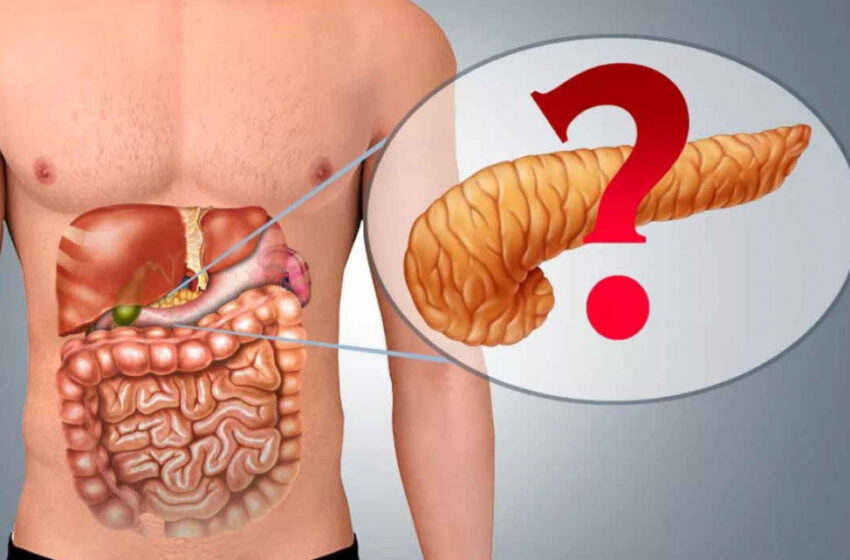  Pancreatita acută și cronică: Cum să faci diferența, când să mergi la medic și cum să le tratezi