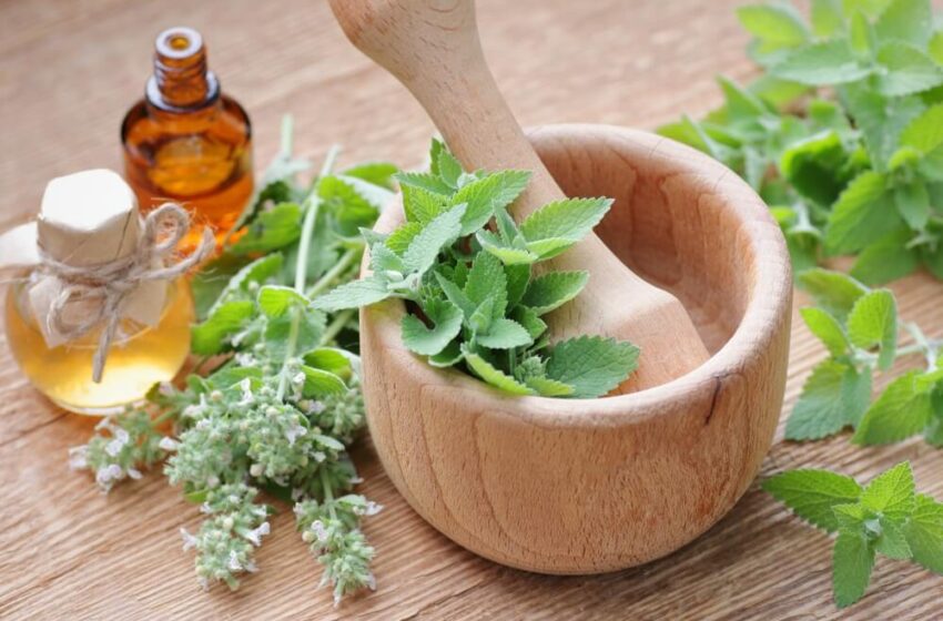  Remedii bătrânești pentru tuberculoză si ulcer la stomac.