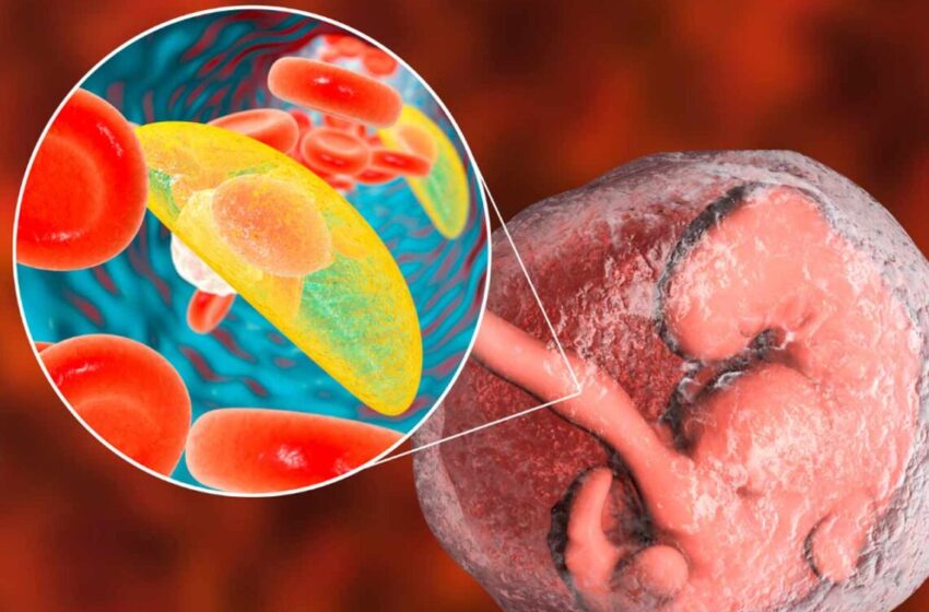  Alimente contaminate cu paraziți – cum putem evita acest pericol?