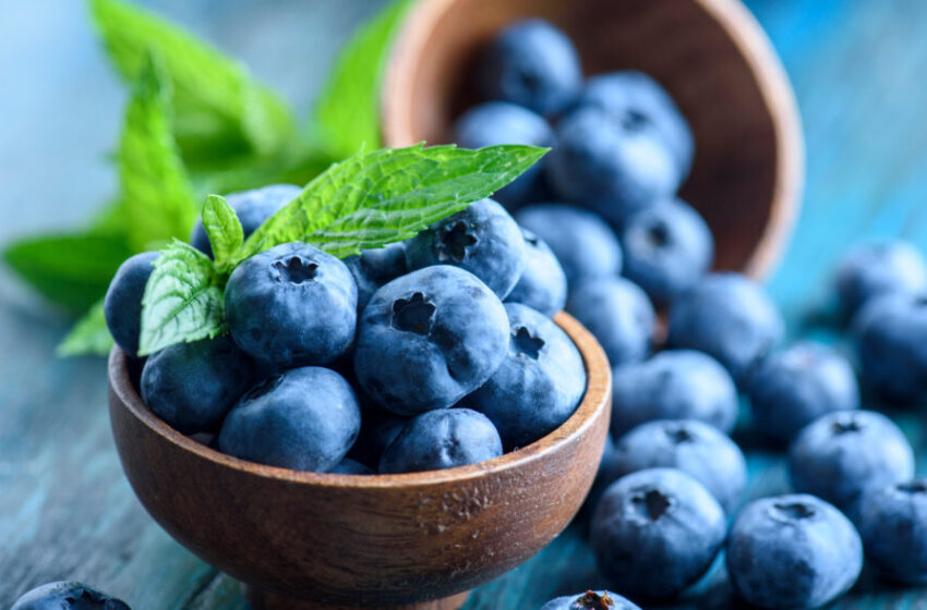  Micul fruct albastru cu puteri uriașe:secretul natural pentru o inimă sănătoasă, o vedere mai bună ,oase sănătoase, ajutor pentru diabetici , o digestie echilibrată etc.